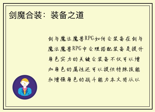 剑魔合装：装备之道