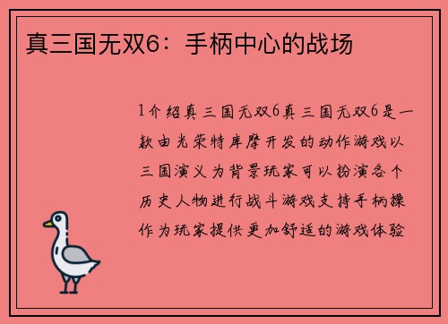 真三国无双6：手柄中心的战场