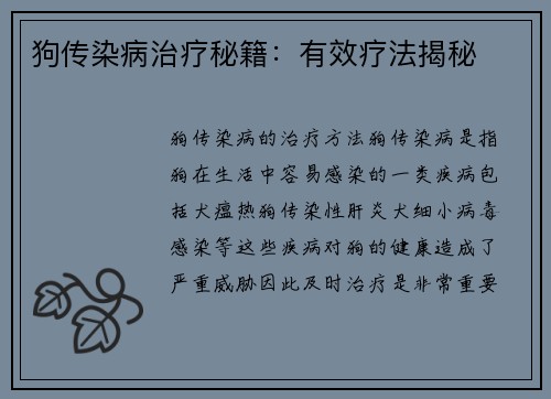 狗传染病治疗秘籍：有效疗法揭秘